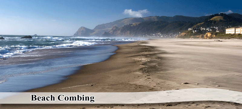Beach Combing