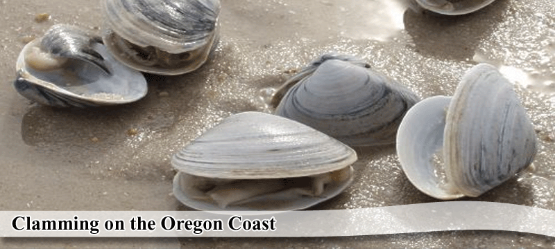 Clamming on the Oregon Coast