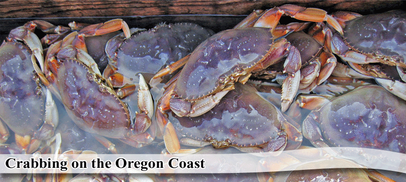 Crabbing on the Oregon Coast