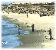 Oregon coast beaches