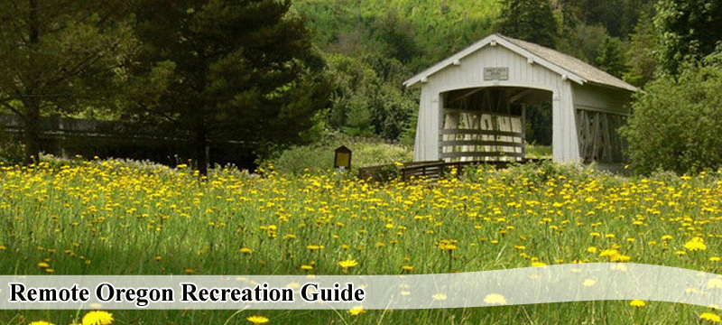 Remote Recreation Guide