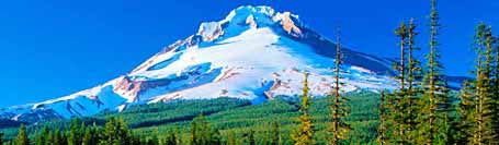 Mt Hood Info